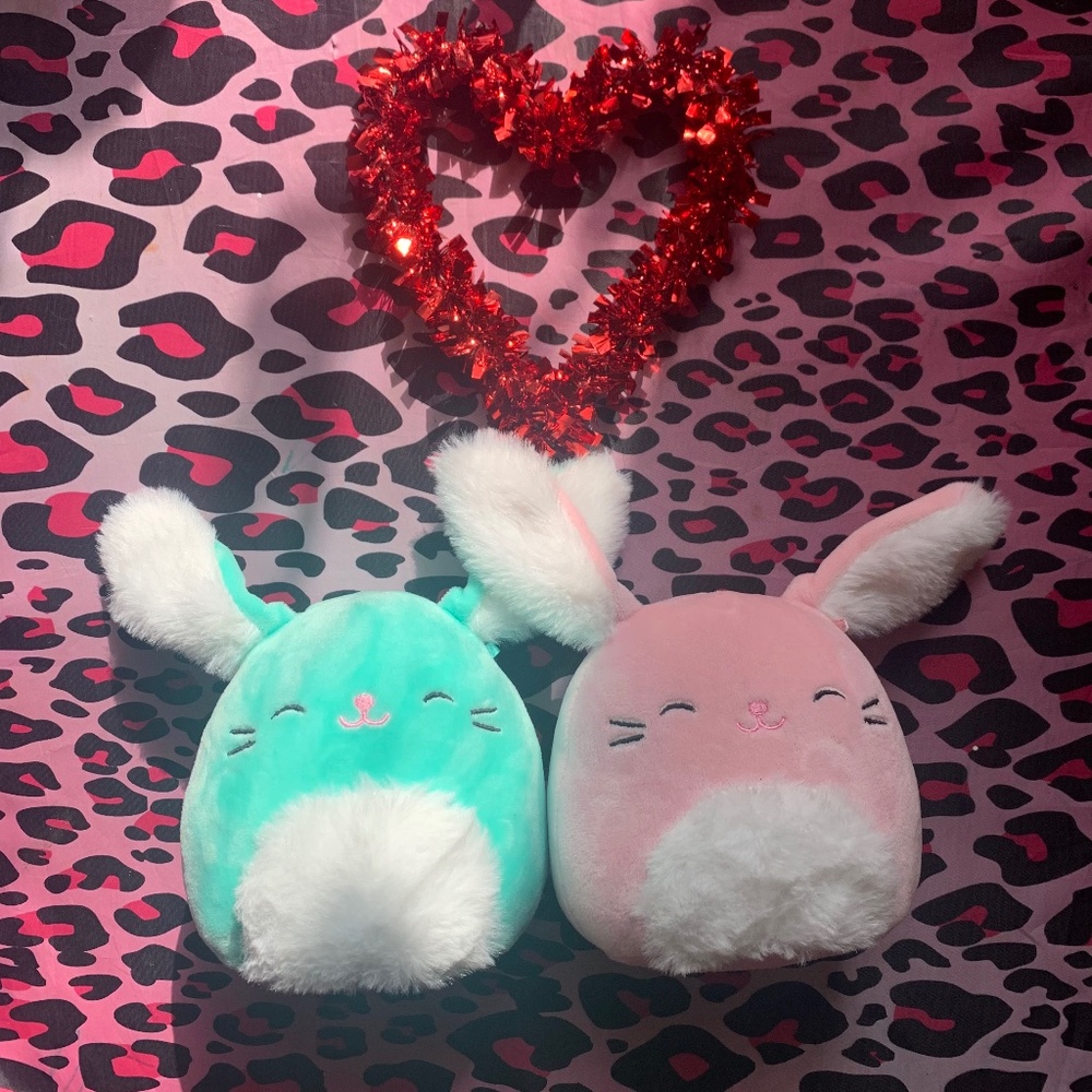 Regan the blue bunny and Bop the pink bunny Squishmallows !!